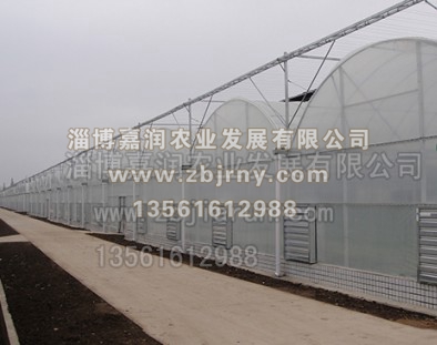 連棟溫室工程